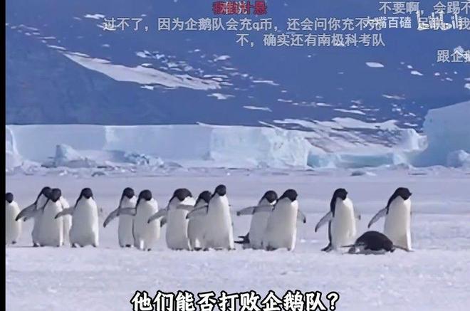 踢得啥嘛？巴西首秀太难堪，安切洛蒂短板被放大，内马尔快复出吧