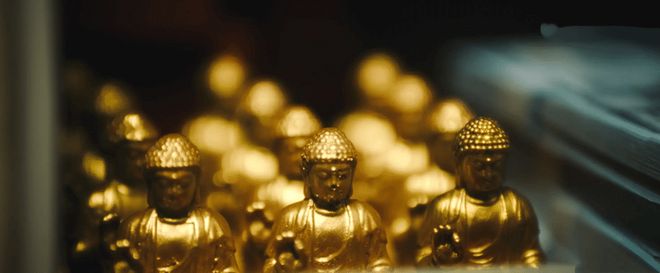 2026世界杯法国将战塞内加尔