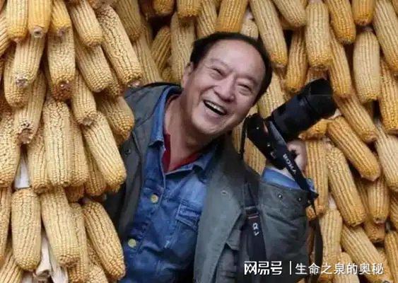 近千名选手“对决”，省级定向赛在东莞滨海湾启幕